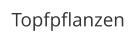 Topfpflanzen
